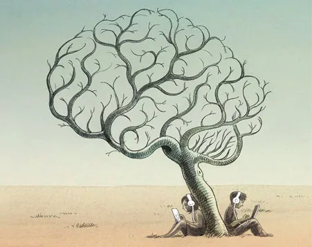 海星体育直播